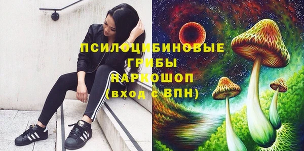 соль ск Балахна
