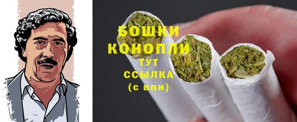 ПСИЛОЦИБИНОВЫЕ ГРИБЫ Балабаново