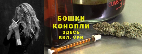тгк Няндома