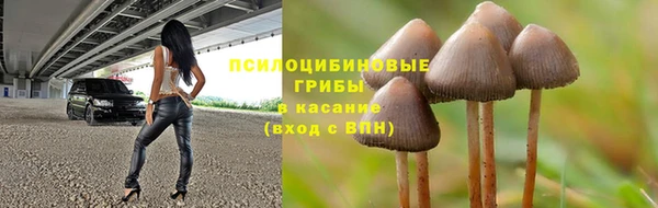 ПСИЛОЦИБИНОВЫЕ ГРИБЫ Балабаново