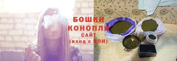 тгк Няндома