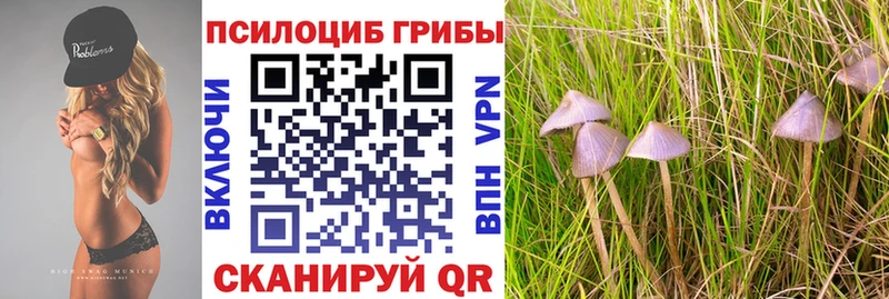MEGA онион  Саяногорск  Псилоцибиновые грибы MAGIC MUSHROOMS 